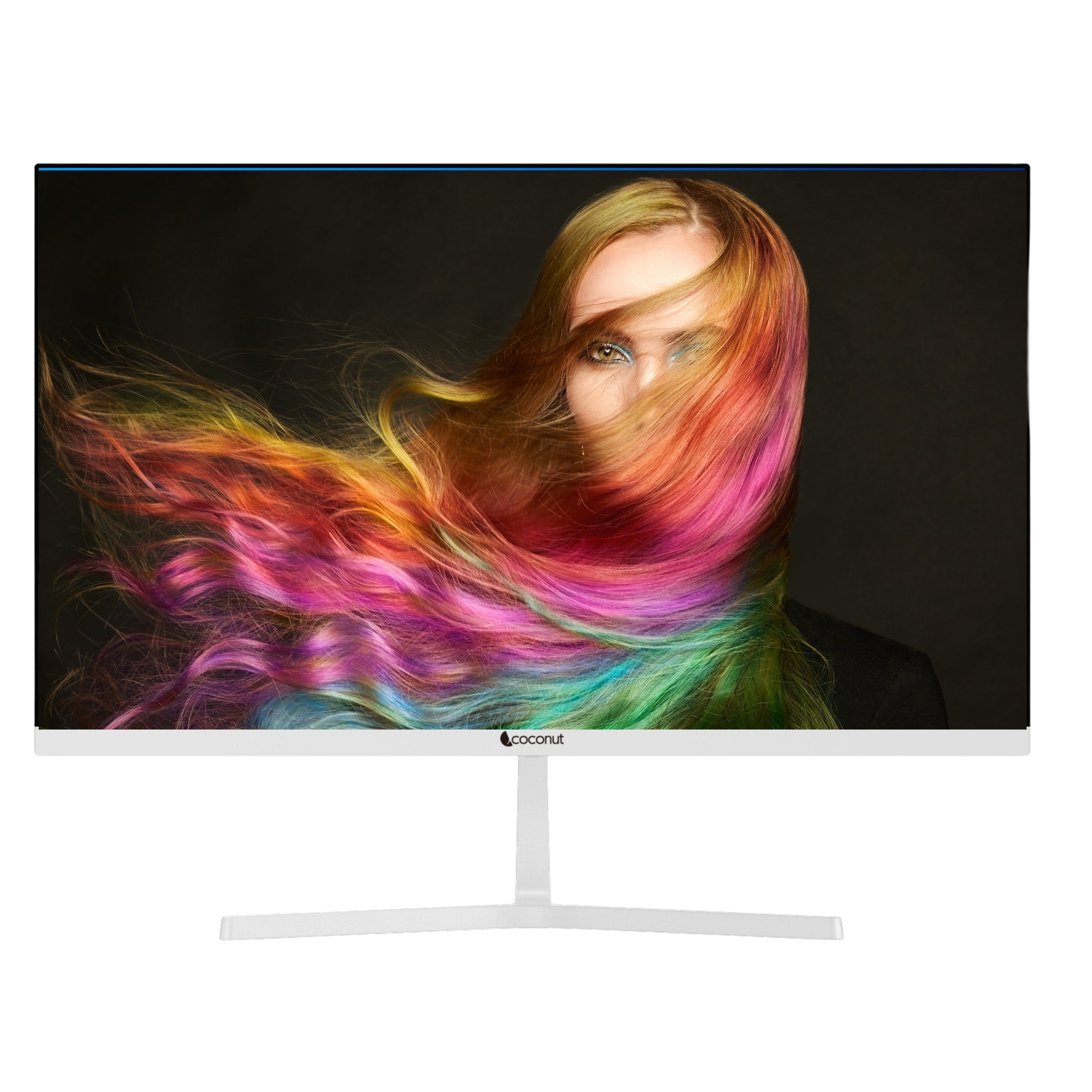 22 inch monitor